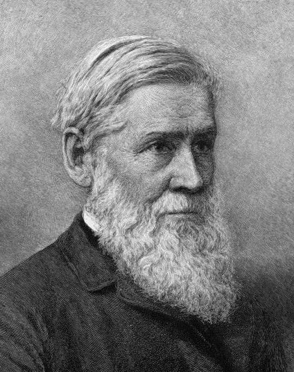 Gray, Asa portrait