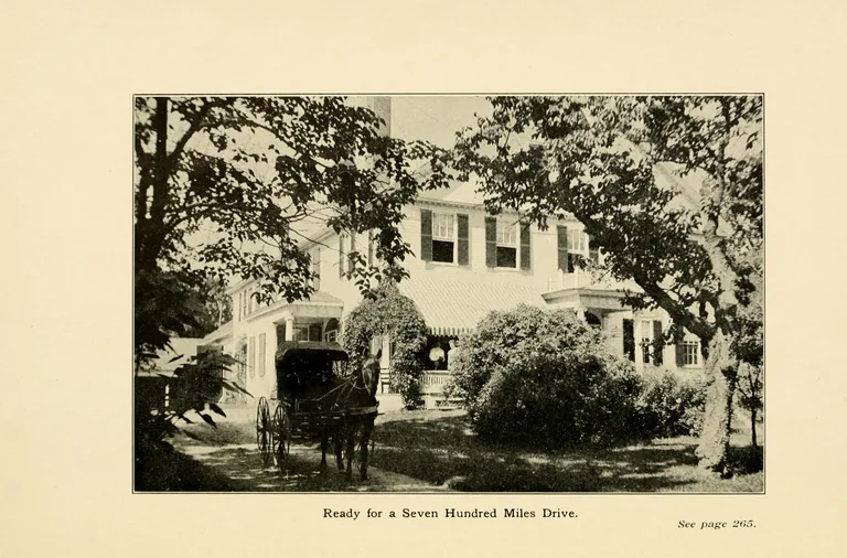 Howe, Frances S. portrait