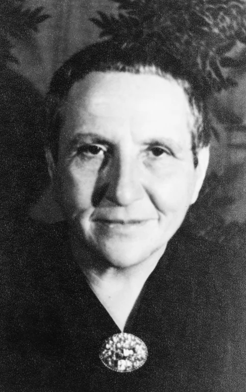 Stein, Gertrude portrait