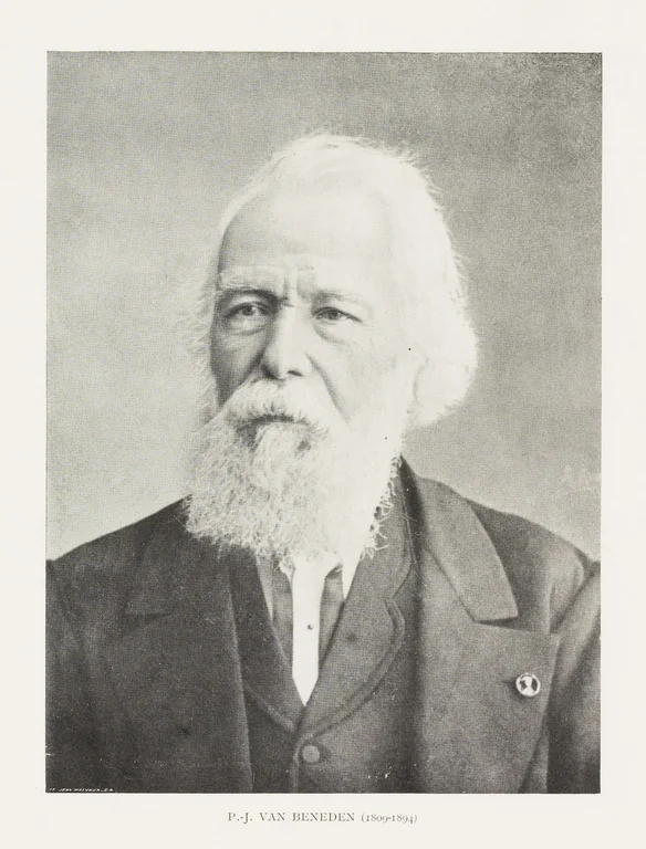 van Beneden, P. J. portrait