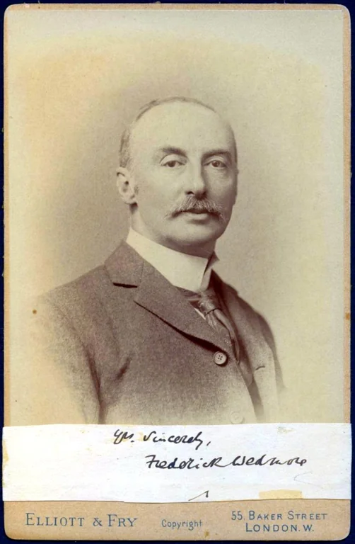 Wedmore, Sir Frederick portrait