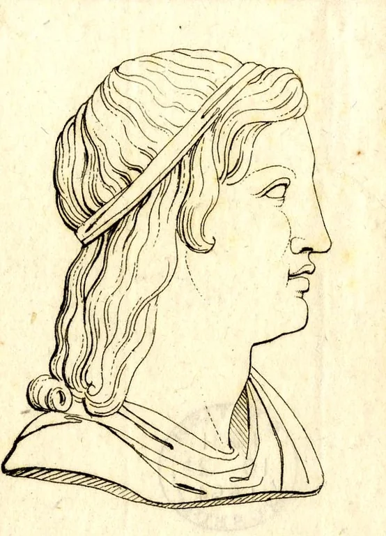 Suetonius portrait