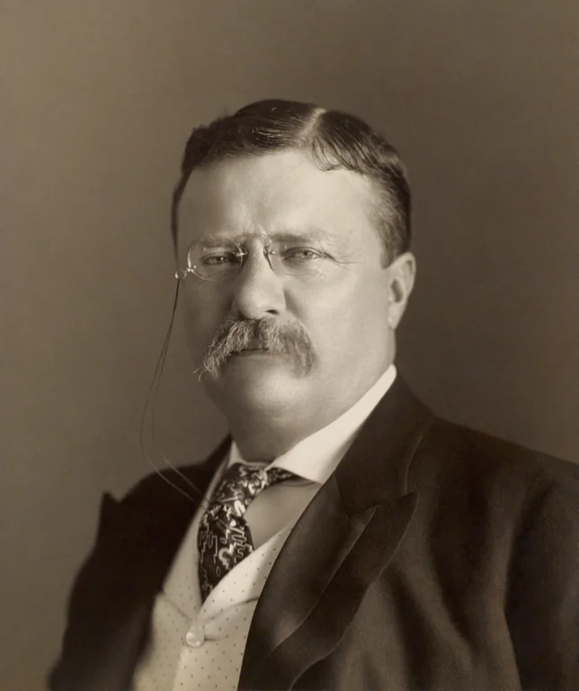 Roosevelt, Theodore portrait