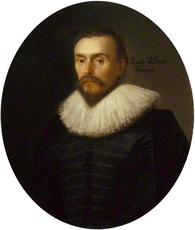 Harvey, William portrait