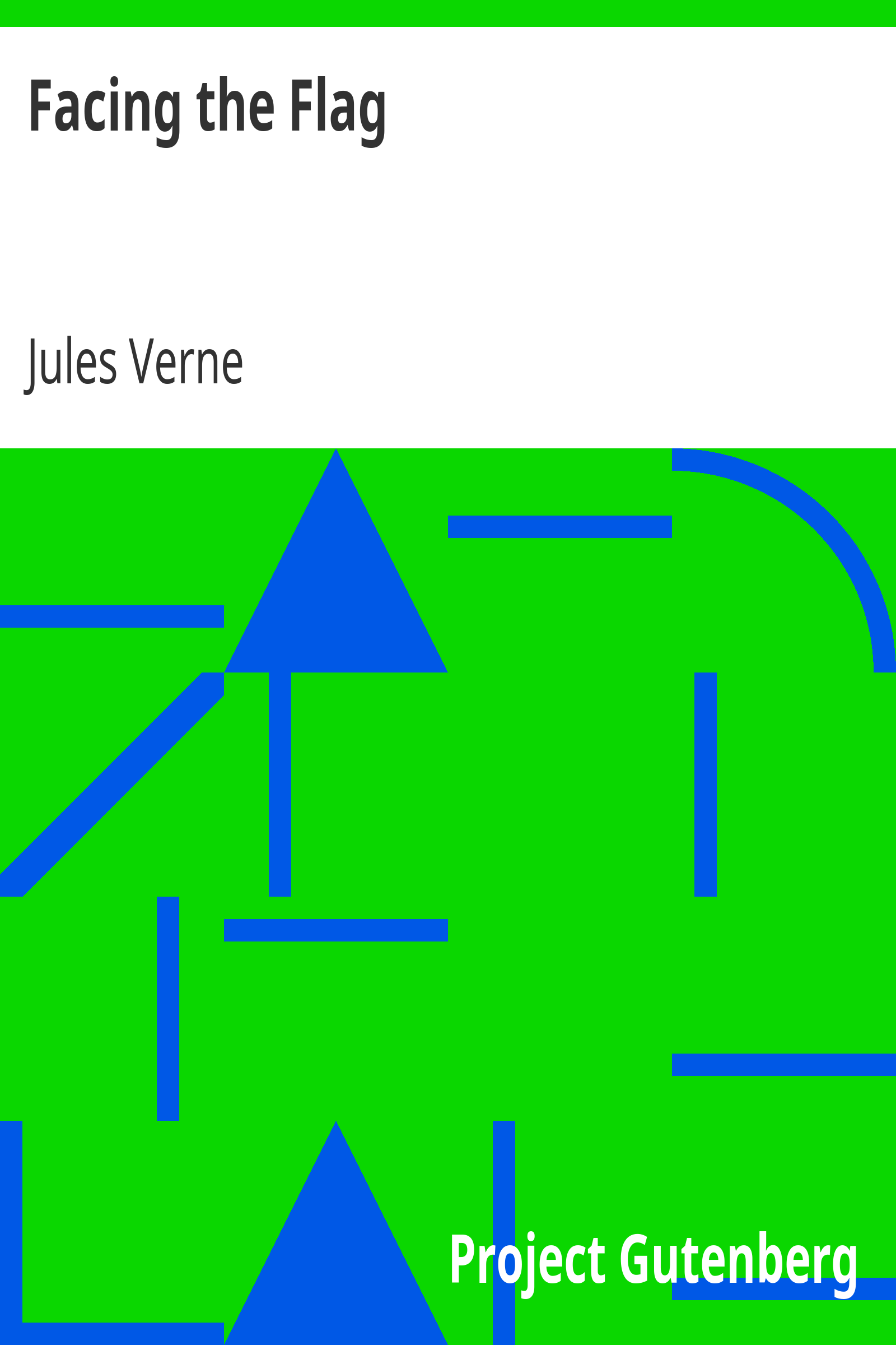 Facing the Flag cover