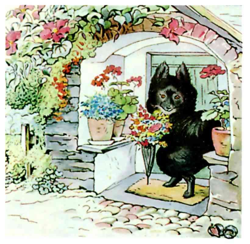 The Tale of the Pie and the Patty Pan cover