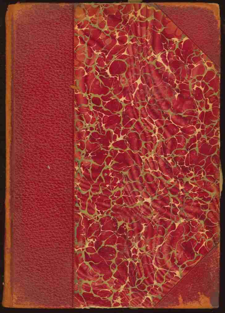 History of Egypt From 330 B.C. To the Present Time, Volume 11 (of 12) cover