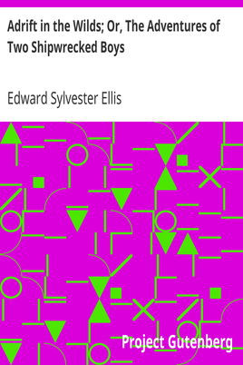 Adrift in the Wilds; Or, The Adventures of Two Shipwrecked Boys cover