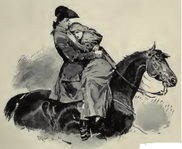 The red cockade cover