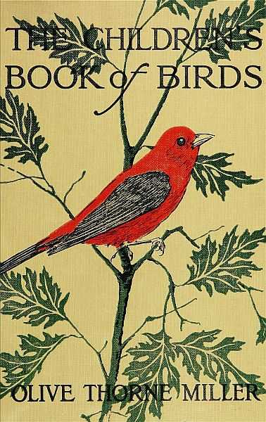 The Children's Book of Birds cover