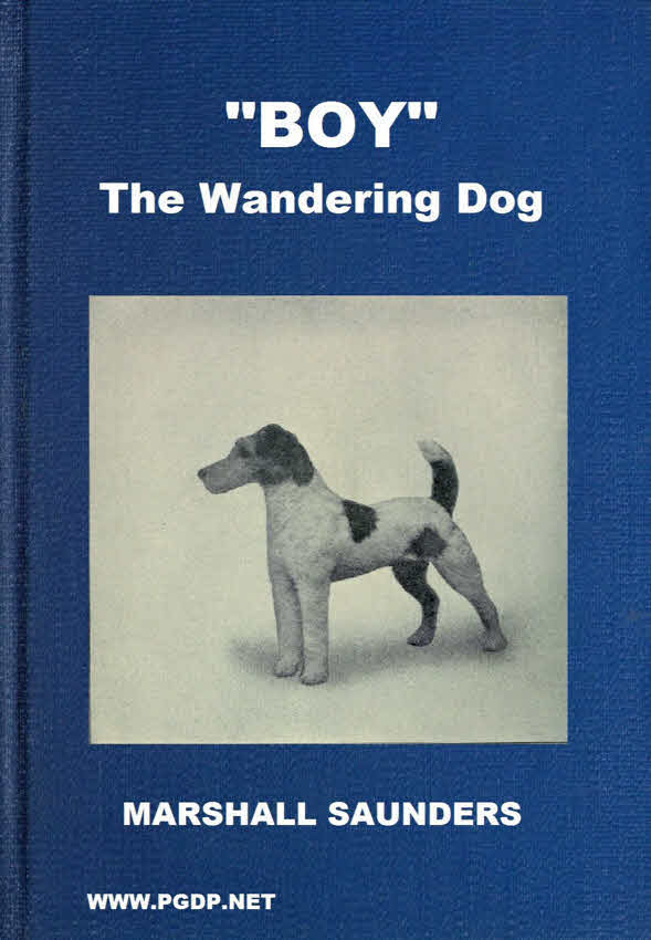"Boy" the Wandering Dog: Adventures of a Fox-Terrier cover