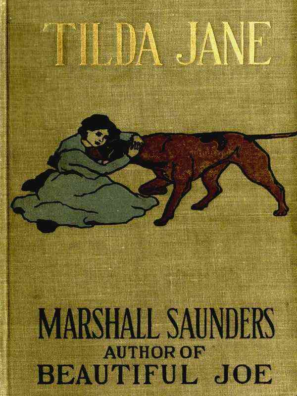 'Tilda Jane: An Orphan in Search of a Home. A Story for Boys and Girls cover