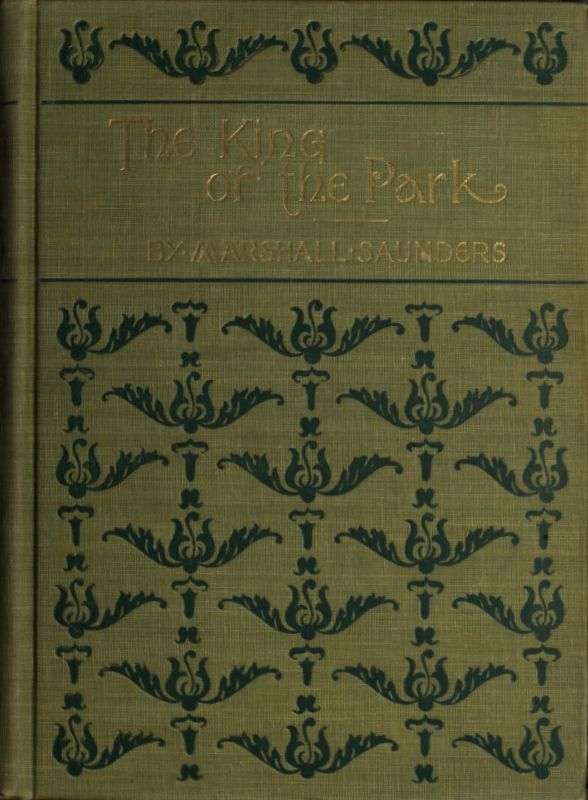 The King of the Park cover