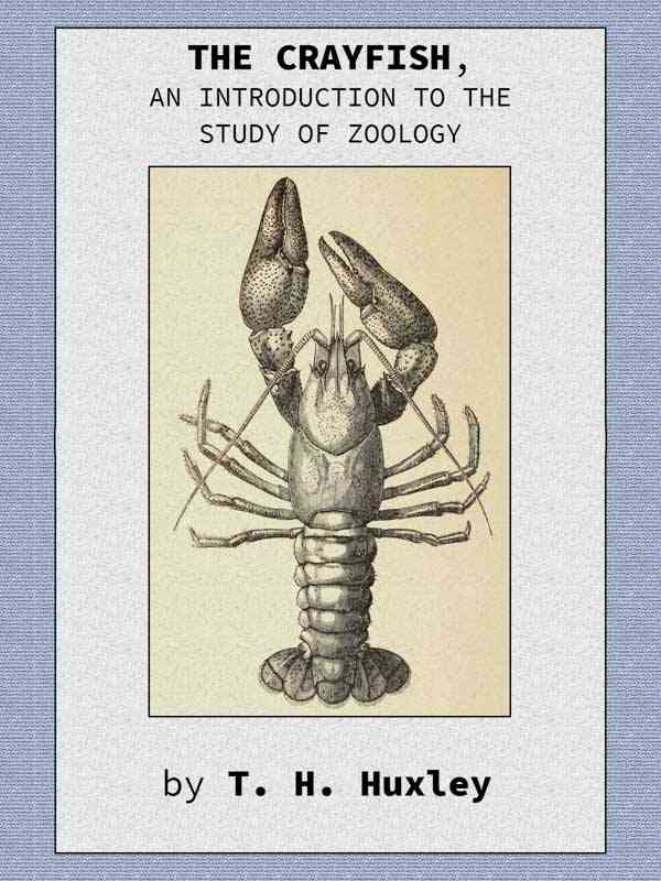 The Crayfish: An Introduction to the Study of Zoology. cover