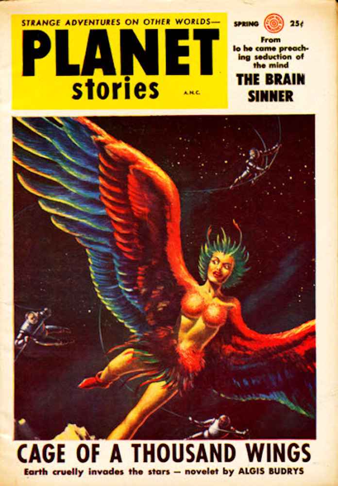 The Brain Sinner cover