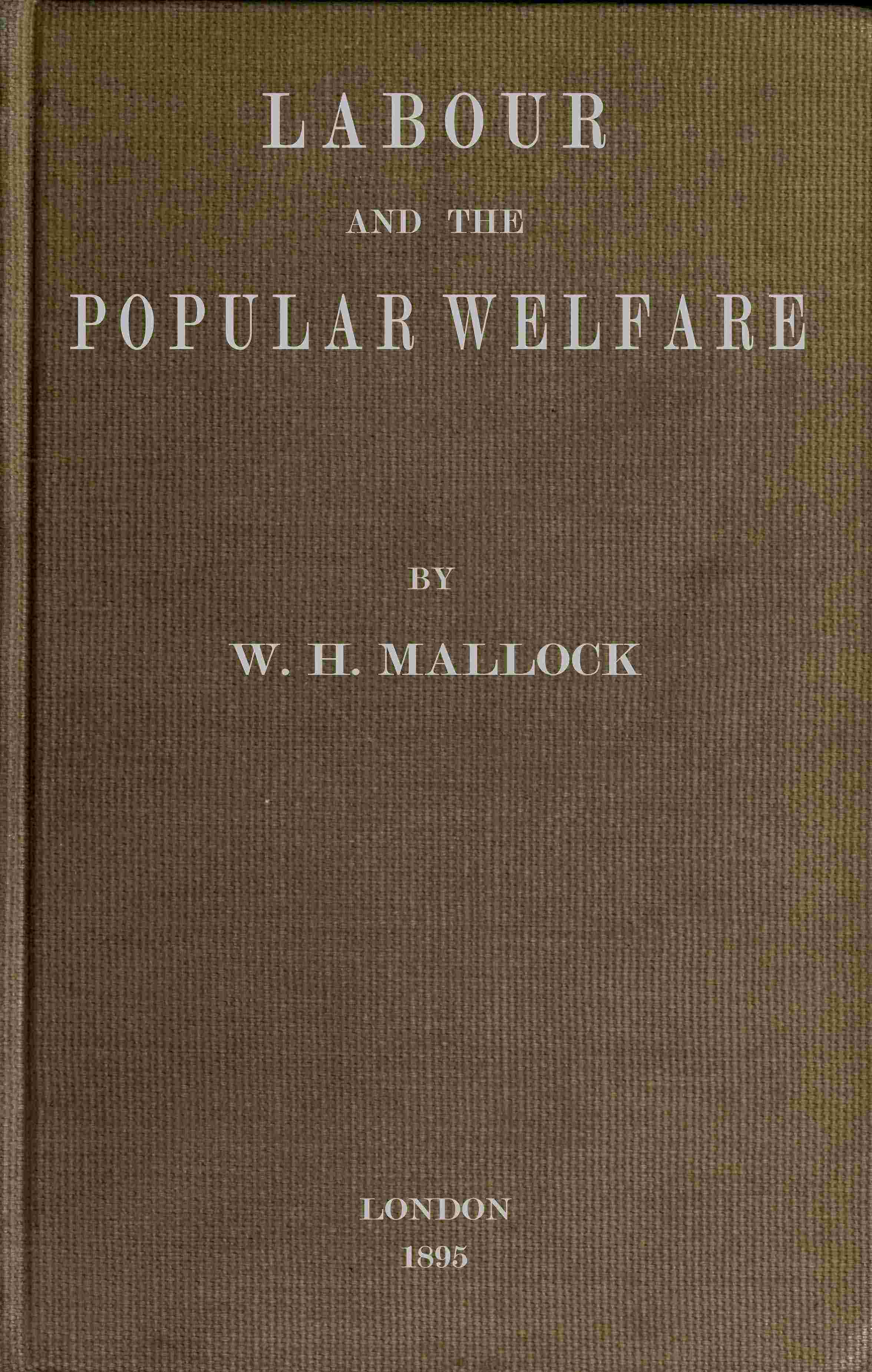 Labour and the Popular Welfare cover